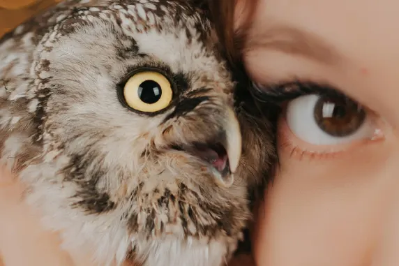 Казино ОлСтар Слотс Поддръжка